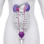 How to Treat Urinary Incontinence